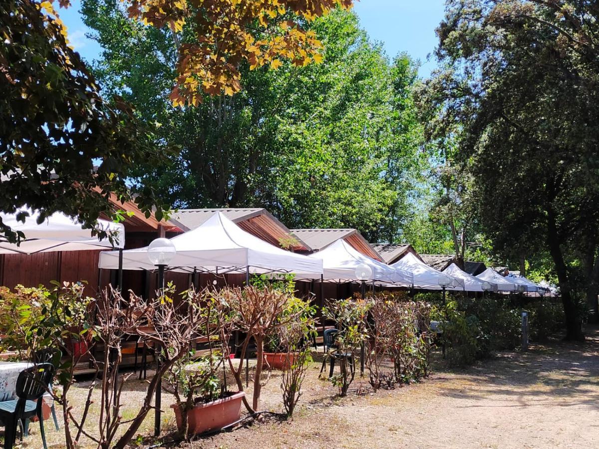 Hotel Cabana Camp Massa  Zimmer foto